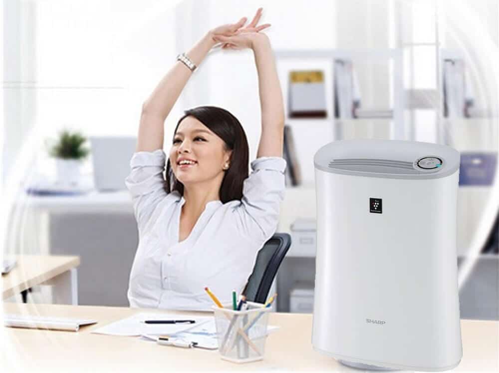 Top 3 máy lọc không khí SUNHOUSE đáng mua nhất năm 2021 6 Một số thương hiệu máy lọc không khí nổi bật hiện nay