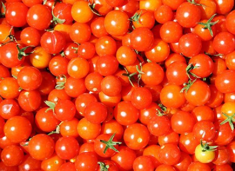 Chọn nguyên liệu là công đoạn quan trọng trong cách làm mứt cà chua bi. Chọn nguyên liệu là công đoạn quan trọng trong cách làm mứt cà chua bi.