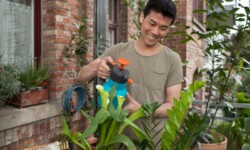 Bình xịt nước tưới cây có nhiều công dụng