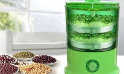 Tại sao nên dùng máy làm giá đỗ?