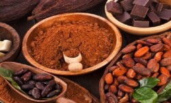 Bột ca cao thượng hạng