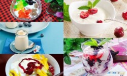 Các loại sữa chua