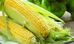 Cách chọn bắp ngon để nấu chè