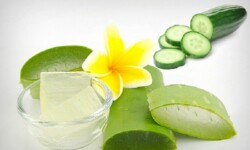 Cách dưỡng da bằng nha đam "thần kỳ" dễ thực hiện - 1