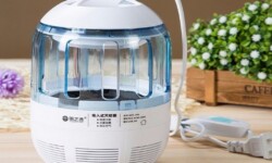 Sử dụng đèn bắt muỗi