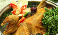 Món gà tiềm ớt hiểm cay ngon hấp dẫn