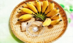 Loại chuối xiêm tốt nhất để làm mứt