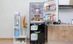 Lợi ích khi dùng tủ lạnh ngăn đá trên