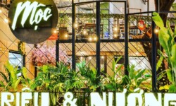 Không gian quán thoáng đãng nên nhiều bạn trẻ thích nhậu cùng bạn bè cuối tuần