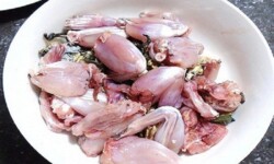 Nên chọn thịt ếch đồng tươi ngon