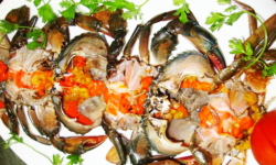 Cua gạch nguyên liệu chính để tạo chả cua Huế thơm ngon