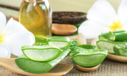 Cách làm sữa chua nha đam sánh mịn ngon mê ly - 1