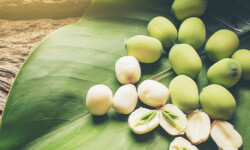 Công dụng của hạt sen