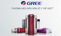 so-luoc-tap-doan-gree