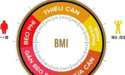 Thang phân loại chỉ số BMI áp dụng cho người châu Á