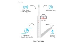 Thiết kế của bàn chải