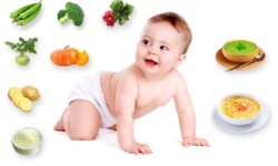Thịt ếch đặc biệt tốt cho trẻ nhỏ