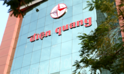 Top 3 đèn bắt muỗi Điện Quang đáng mua 2021 - 4