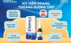 Review xịt mũi Sinmax, có an toàn và hiệu quả không? - 1