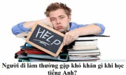 Học Tiếng Anh Online Cho Người Đi Làm
